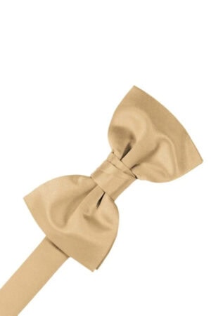 Beige fabric bow tie tied in a classic knot, isolated on a white background with a matching neck strap nearby.