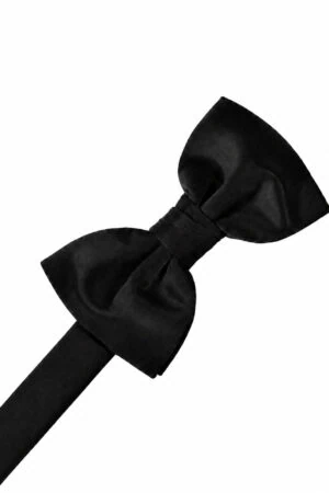 Black bow tie with an adjustable strap on a white background, tied in a classic knot
