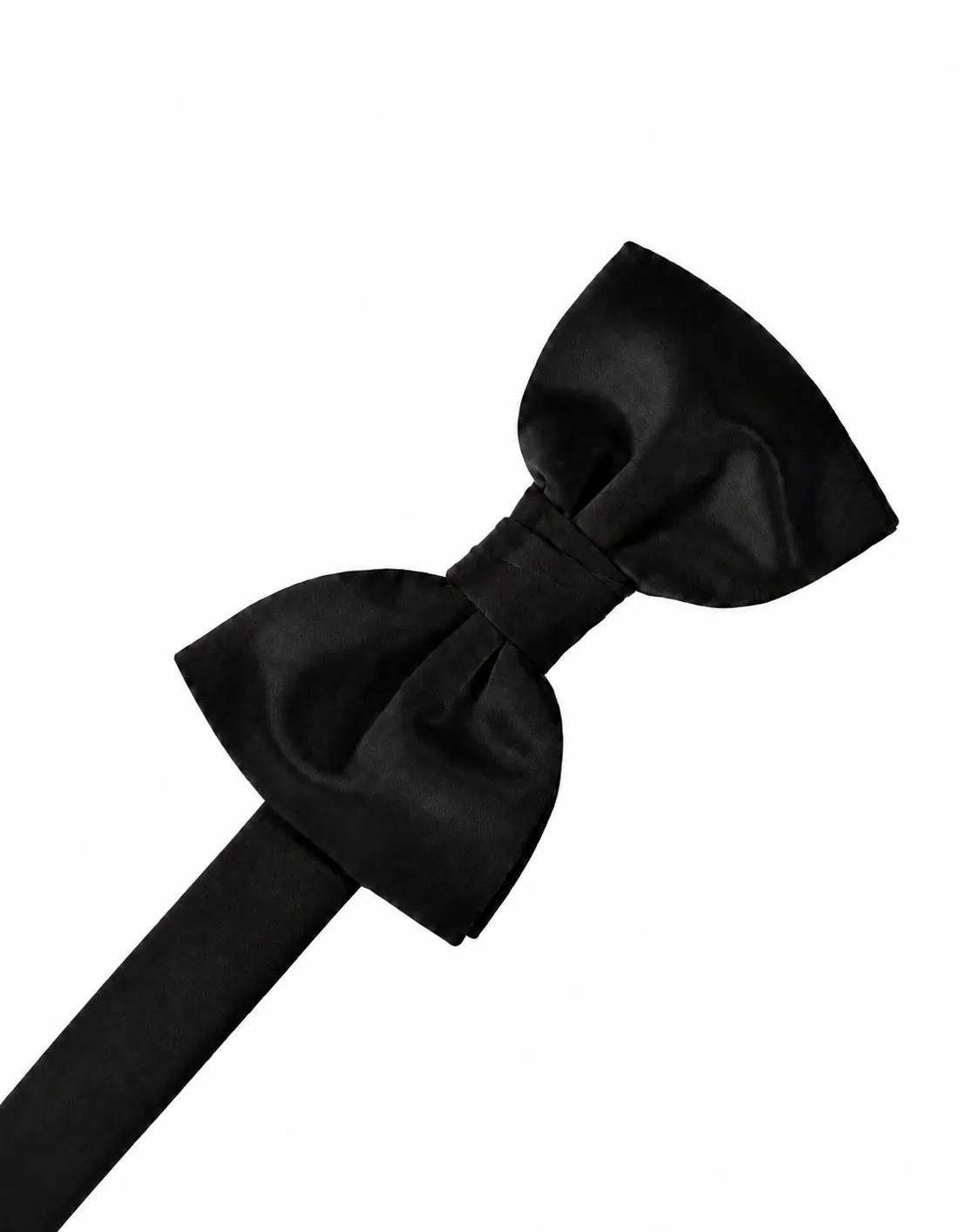 Black bow tie with an adjustable strap on a white background, tied in a classic knot