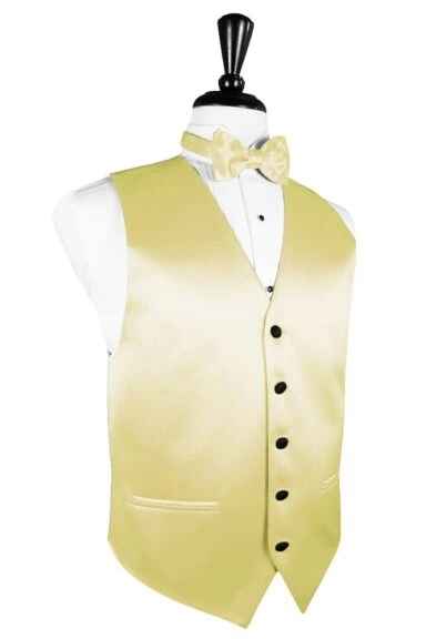 Cassis Vitro Satin Vest main image 1