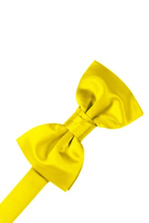 Sunbeam Solid Satin Bowtie