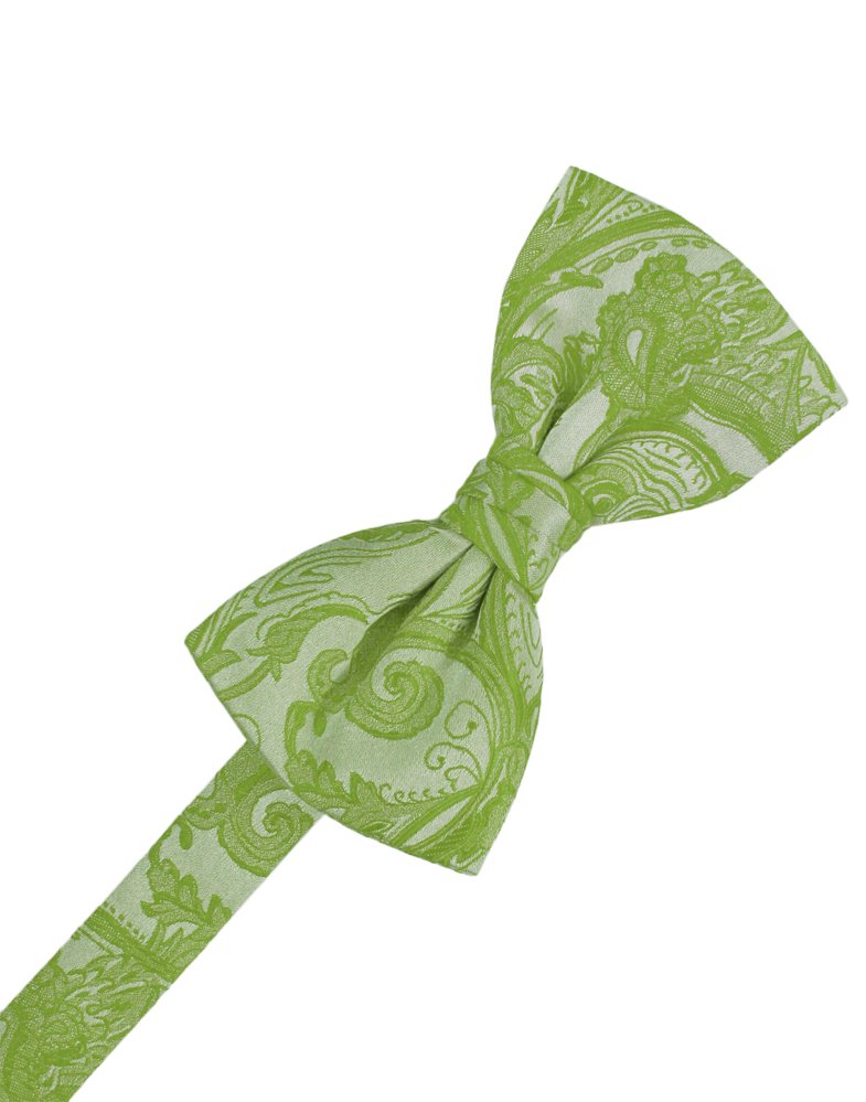 Scarlet Tapestry Bowtie