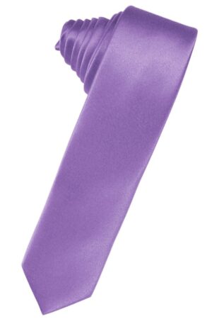 Wisteria Solid Satin Skinny Suit Tie