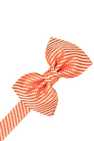 Orange striped ribbon bow tied in the center with a diagonal tail on a white background.