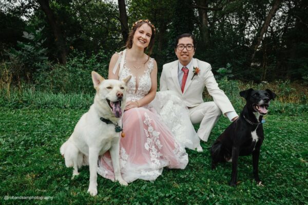 bride and groom after wedding sitting in the grass with their dogs