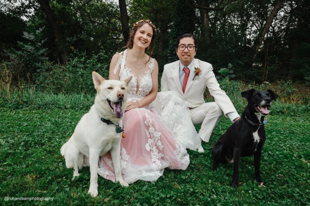 wedding couple posing outside with dogs