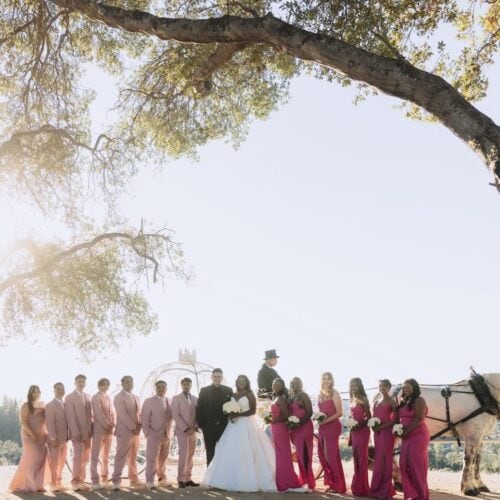 Bride and groom pose with the wedding party outdoors on a sunny day; bridesmaids wear pink dresses and groomsmen wear light pink suits, with a horse-drawn carriage in the background under a large tree.