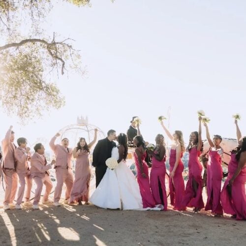 Sunlit outdoor wedding scene with the bride and groom kissing, bridesmaids in pink dresses and groomsmen in peach suits cheering nearby, with two horses off to the side.