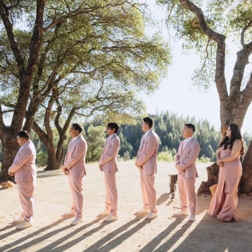 Six men in blush-pink suits and a woman in a blush gown stand in a line under tall trees in a sunlit outdoor setting, casting long shadows.